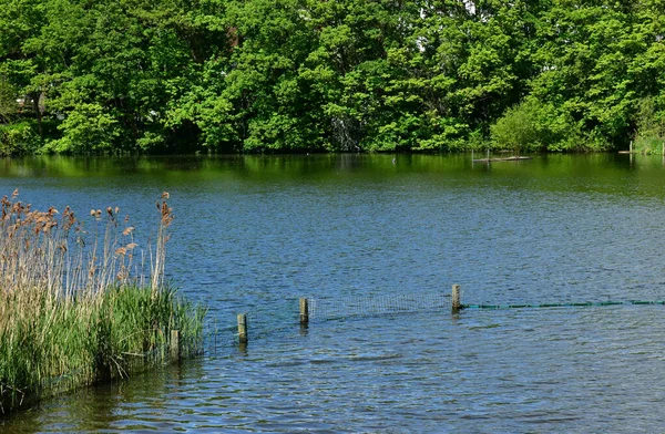 London; Hampstead, England - may 5 2019 : Hampstead Heath — Stock Photo, Image