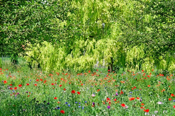 Villennes sur Seine; Frankrijk - 24 juni 2019: openbaar park — Stockfoto