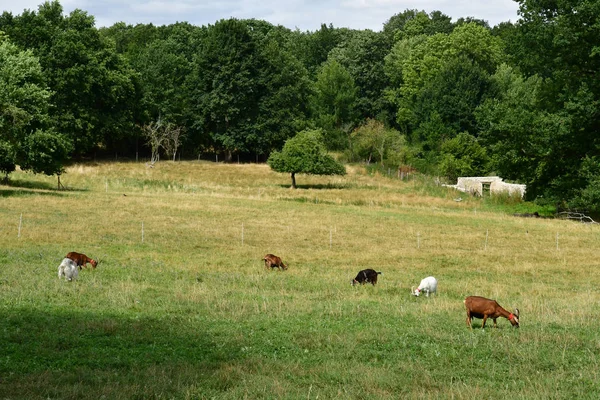 Jouy le Moutier；France - September tDecember 4 2019：Ecancourt Farm — 图库照片