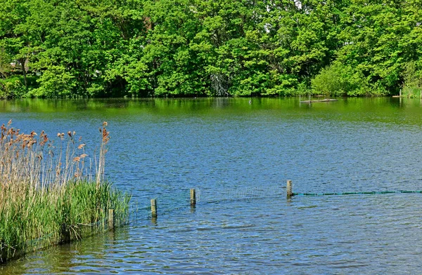 Londres; Hampstead, Inglaterra - 5 de maio de 2019: Hampstead Heath — Fotografia de Stock