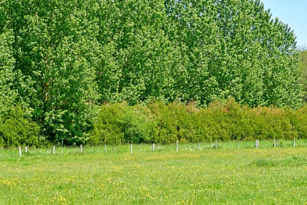 Fourges; Francia - 15 de mayo de 2019: el pintoresco paisaje —  Fotos de Stock