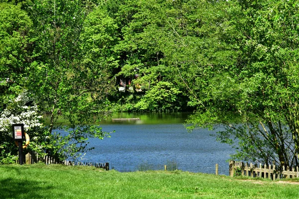 Londres ; Hampstead, Angleterre - 5 mai 2019 : Hampstead Heath — Photo