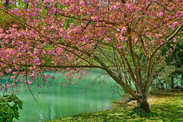 Poissy; Francia - 11 de abril de 2019: el parque Meissonier —  Fotos de Stock