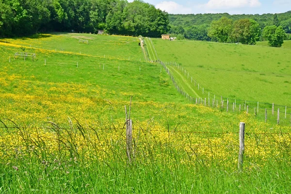 Lainville en Vexin, Fransa - 24 Mayıs 2019 : manzara — Stok fotoğraf