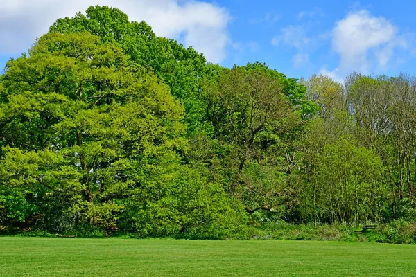 Londyn; Hampstead, Anglia - 5 maja 2019: Hampstead Heath — Zdjęcie stockowe