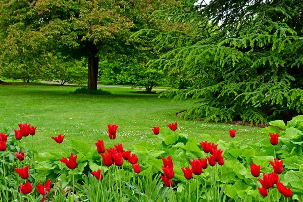 Londen; Kew, Engeland - 5 mei 2019: de Kew Gardens — Stockfoto