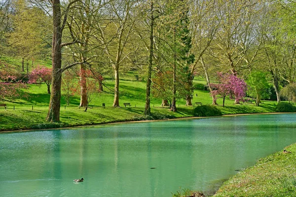 波西;法国 - 2019年4月11日 ： 梅索尼耶公园 — 图库照片