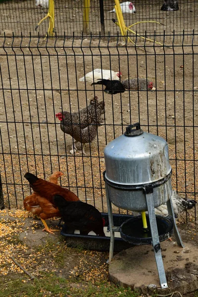 Jouy le moutier; Frankreich - 4. September 2019: ecancourt farm — Stockfoto