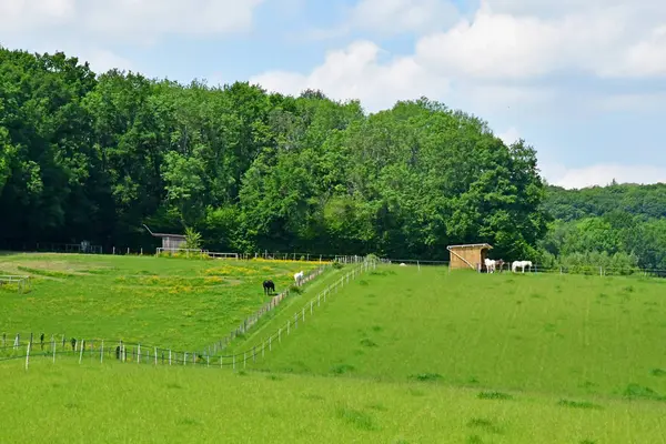 Lainville en Vexin, Francia - 24 de mayo de 2019: paisaje —  Fotos de Stock