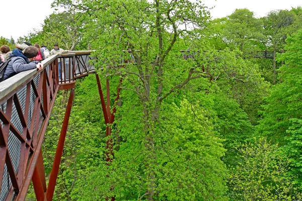 Londres; Kew, Inglaterra - 5 de maio de 2019: os Jardins Kew — Fotografia de Stock