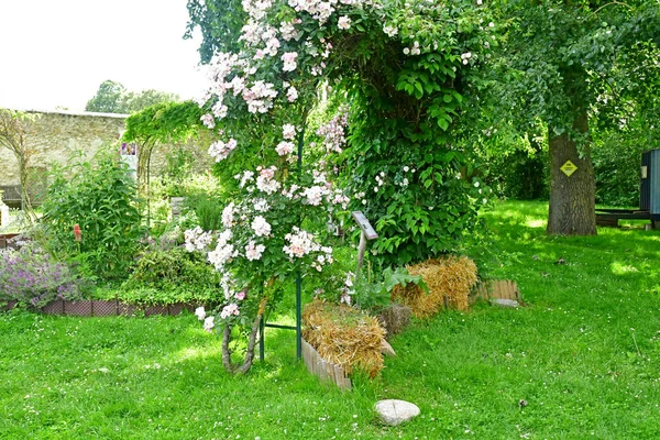 Saint Cyr l Ecole; Francia - 16 de junio de 2019: jardín — Foto de Stock