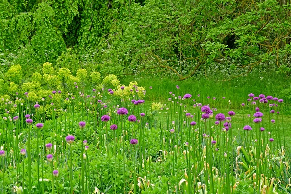 Londen; Kew, Engeland - 5 mei 2019: de Kew Gardens — Stockfoto