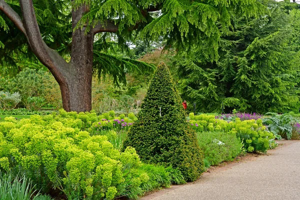 Londra; Kew, İngiltere - 5 Mayıs 2019: Kew Gardens — Stok fotoğraf