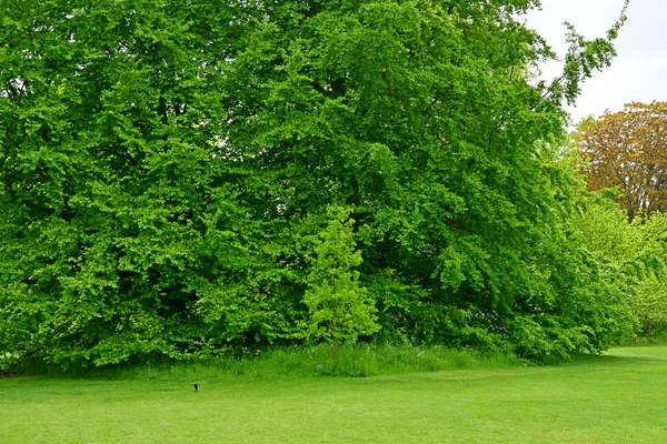 Londres; Kew, Inglaterra - 5 de mayo de 2019: los Jardines de Kew —  Fotos de Stock