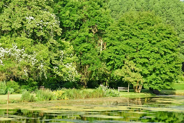 Sasnieres; França - 30 de junho de 2019: du Plessis Sasnieres garden — Fotografia de Stock