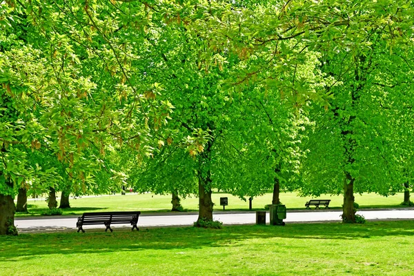 London, Greenwich; England - may 5 2019 : Greenwich Royal Park — Stock Photo, Image