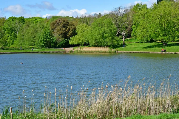 Londres; Hampstead, Inglaterra - 5 de mayo de 2019: Hampstead Heath —  Fotos de Stock