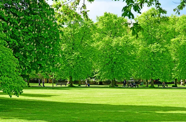 London, Greenwich; Anglia - május 5 2019: Greenwich Royal Park — Stock Fotó