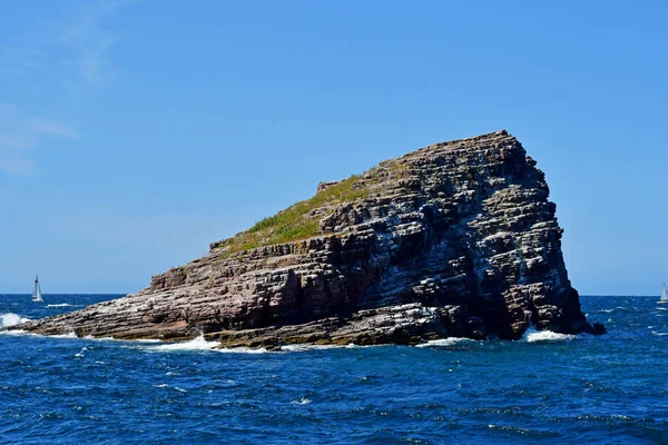 Plevenon; France - july 28 2019 : the Cap Frehel — Stock Photo, Image