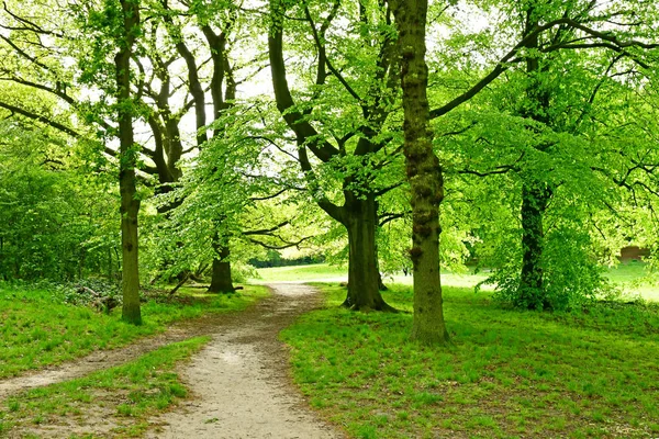 Londres; Hampstead, Inglaterra - 6 de mayo de 2019: Hampstead district —  Fotos de Stock