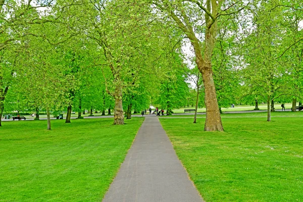 Londra, Greenwich; İngiltere - 5 Mayıs 2019: Greenwich Kraliyet Parkı — Stok fotoğraf