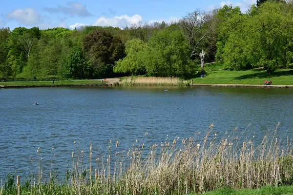 Londres; Hampstead, Inglaterra - 5 de mayo de 2019: Hampstead Heath — Foto de Stock