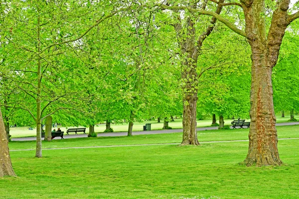 Londres, Greenwich; Inglaterra - 5 de maio de 2019: Greenwich Royal Park — Fotografia de Stock