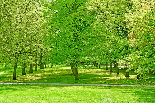 Londres, Greenwich; Inglaterra - 5 de mayo de 2019: Greenwich Royal Park —  Fotos de Stock