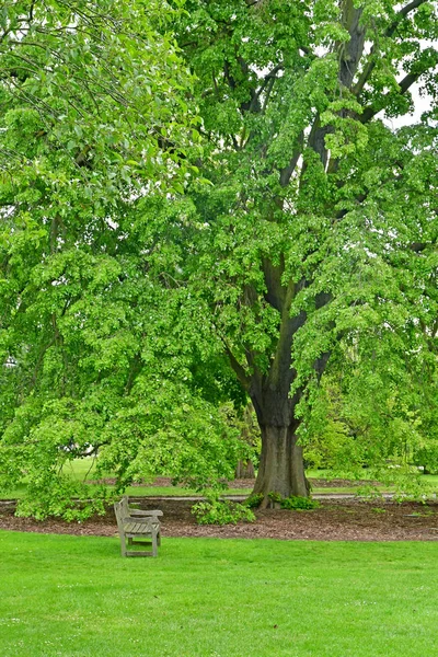 Londyn; Kew, Anglia - 5 maja 2019: Kew Gardens — Zdjęcie stockowe