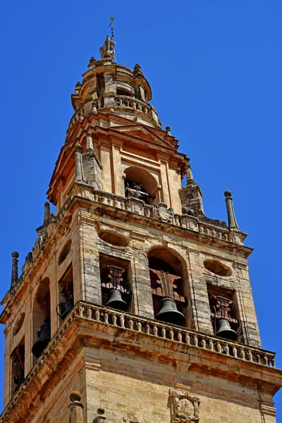 Cordoba; Spain - Agustus 28 2019: Masjid Katedral — Stok Foto