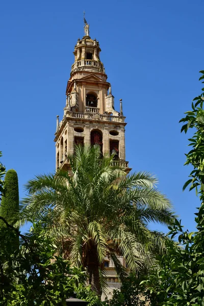 Cordoba; Spanien - 28 augusti 2019: Moskékatedralen — Stockfoto