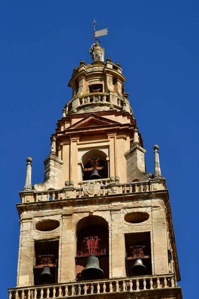 Cordoba; Spanien - 28. August 2019: Kathedrale der Moschee — Stockfoto