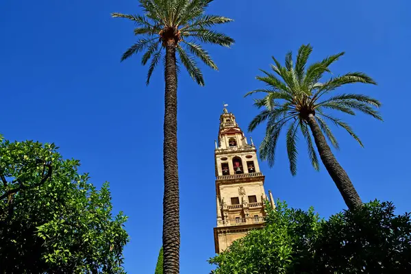 Cordoba; Spain - august 28 2019 : Mosque Cathedral — Stock Photo, Image