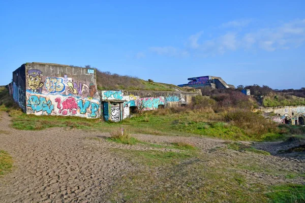 Leffrinckoucke, Francia - 26 de enero de 2020: el paisaje de dyna —  Fotos de Stock