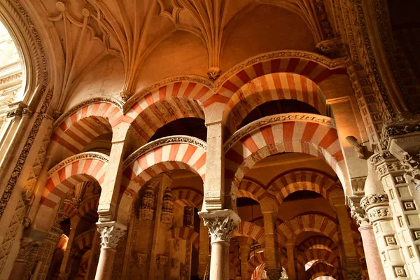 Cordoba; Spanje - 28 augustus 2019: Moskee Kathedraal — Stockfoto