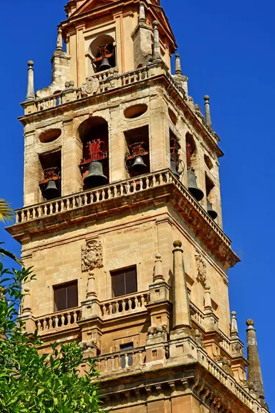 Cordoba; Spanien - 28 augusti 2019: Moskékatedralen — Stockfoto