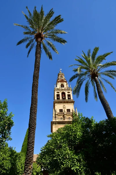 Cordoba; Spain - august 28 2019 : Mosque Cathedral — Stock Photo, Image