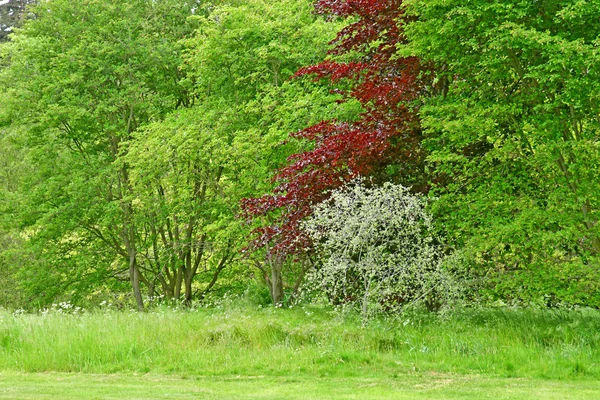 London; kew, england - 5. Mai 2019: the kew gardens — Stockfoto