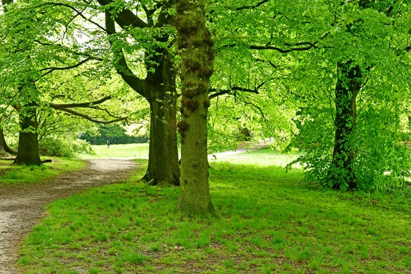 Londen; Hampstead, Engeland - 6 mei 2019: Hampstead district — Stockfoto