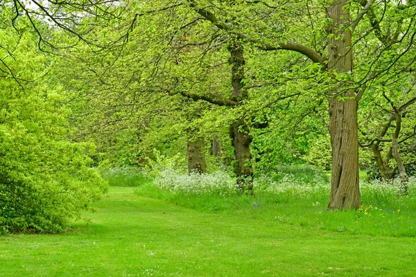 Londres; Kew, Inglaterra - 5 de maio de 2019: os Jardins Kew — Fotografia de Stock