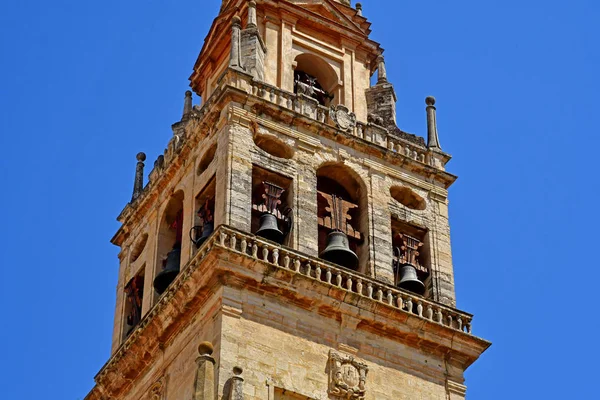 Cordoba; Spanje - 28 augustus 2019: Moskee Kathedraal — Stockfoto