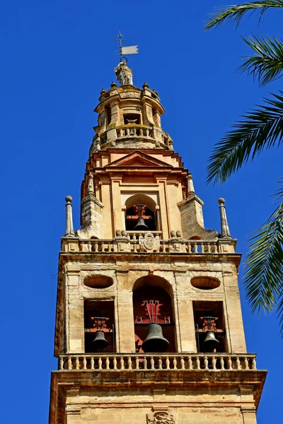 Cordoba; Španělsko - srpen 28 2019: Mešita Katedrála — Stock fotografie