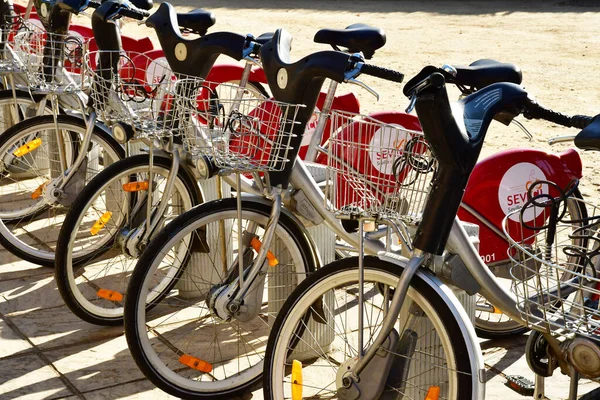Севилья Испания Августа 2019 Года Бесплатный Прокат Велосипедов Центре Города — стоковое фото