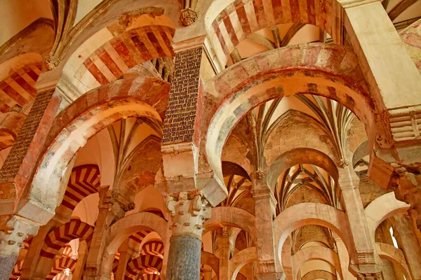 Cordoba Spain August 2019 Mosque Cathedral — Stock Photo, Image