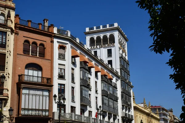 Seville Spain August 2019 Historical City Centre — стокове фото