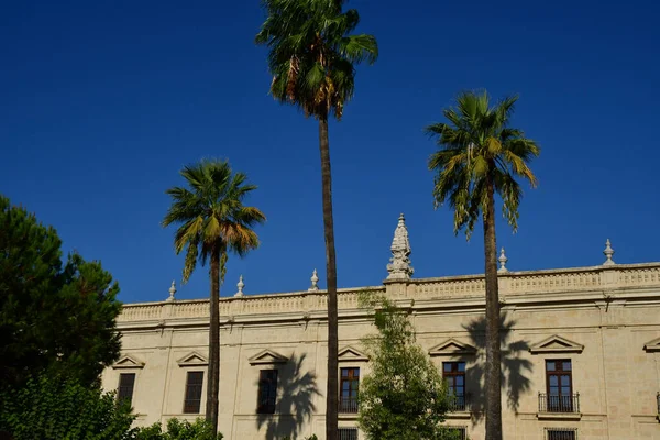 Sevilha Espanha Agosto 2019 Universidade Antiga Fábrica Tabaco — Fotografia de Stock