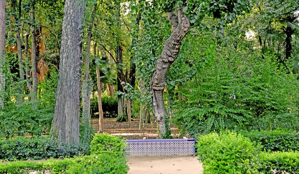 Seville Spain August 2019 Maria Luisa Park — Stock fotografie