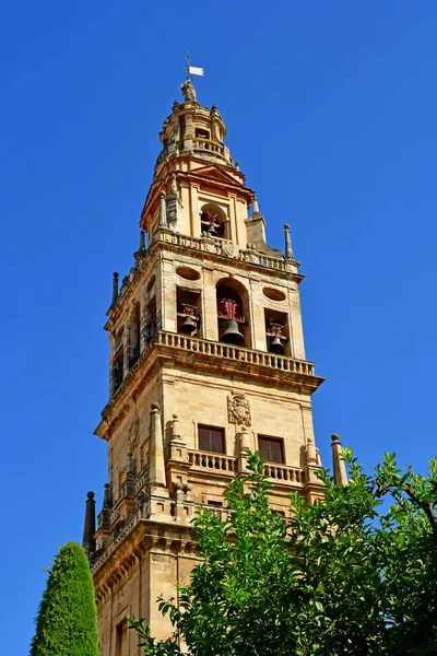 Cordoue Espagne Août 2019 Cathédrale Mosquée — Photo