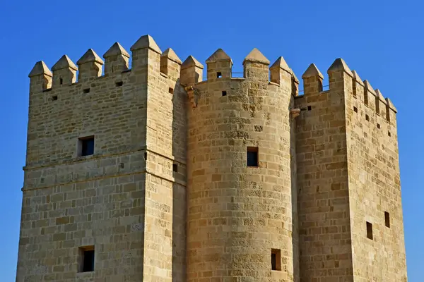 Cordoba Španělsko Srpna 2019 Věž Calahorra — Stock fotografie
