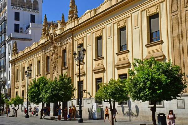 Seville Spain August 2019 Historical City Centre — Stockfoto